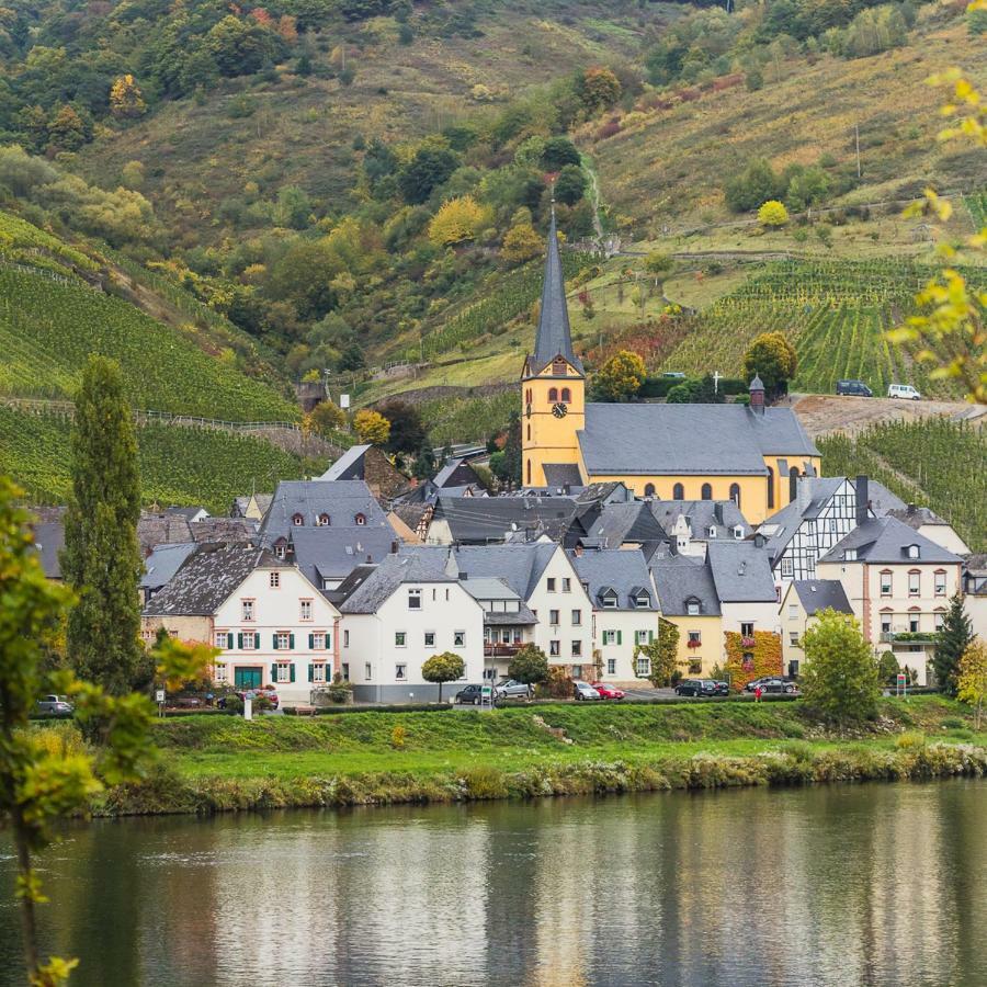 Ferienwohnung Haus Steffen Zeltingen-Rachtig Exteriör bild